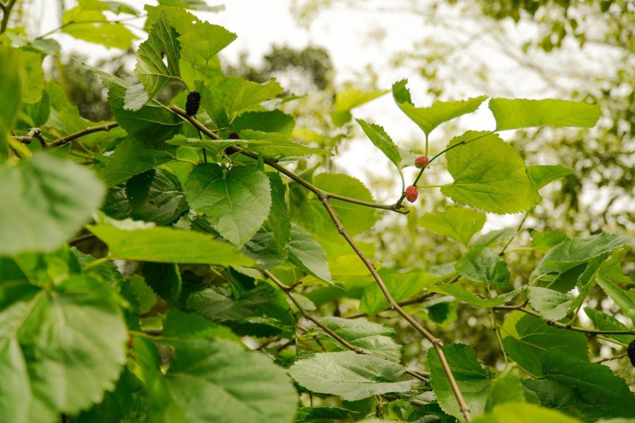 Florianópolis Pousada Dunasol Floripa מראה חיצוני תמונה