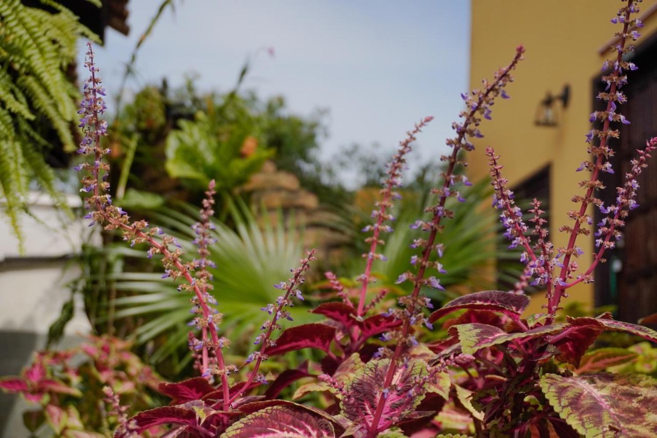 Florianópolis Pousada Dunasol Floripa מראה חיצוני תמונה