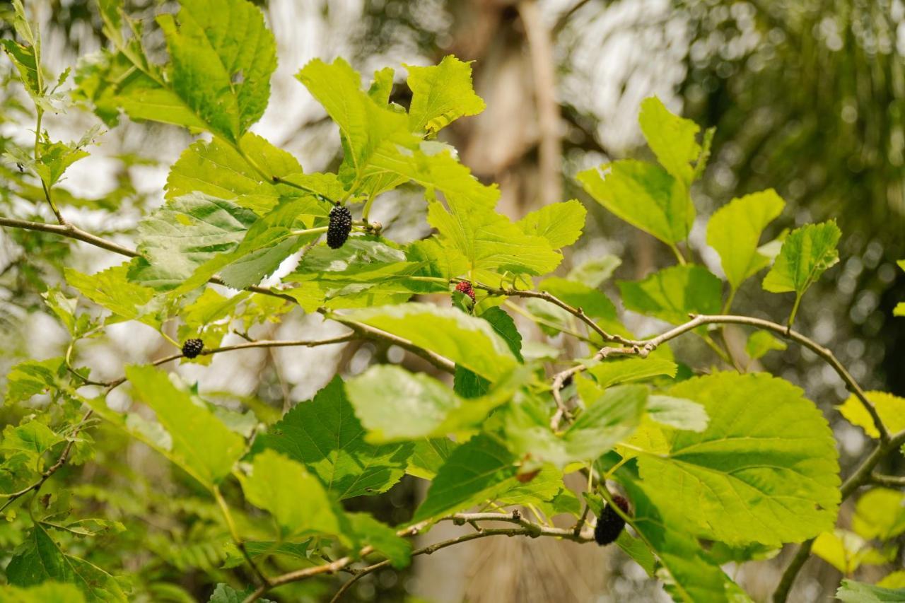 Florianópolis Pousada Dunasol Floripa מראה חיצוני תמונה